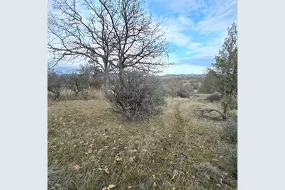 730 Grouse Way, Hornbrook, CA 96044 - Photo 13