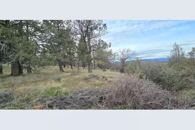 730 Grouse Way, Hornbrook, CA 96044 - Photo 15