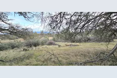 730 Grouse Way, Hornbrook, CA 96044 - Photo 9