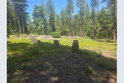 12181 Robust Way, Nevada City, CA 95959 - Photo 7