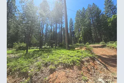 12181 Robust Way, Nevada City, CA 95959 - Photo 1