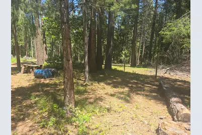 12181 Robust Way, Nevada City, CA 95959 - Photo 3