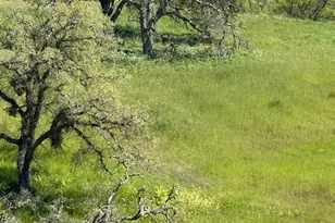 49 Cormorant, Wallace, CA 95254 - Photo 1