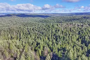 6301 Canyon Creek Rd, Georgetown, CA 95634 - Photo 83