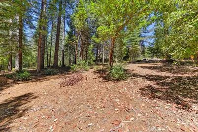 6960 Blackhawk Lane, Foresthill, CA 95631 - Photo 67