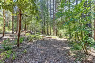 6960 Blackhawk Ln, Foresthill, CA 95631 - Photo 69