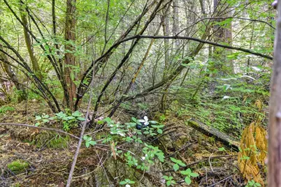 6960 Blackhawk Lane, Foresthill, CA 95631 - Photo 79