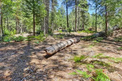 6960 Blackhawk Lane, Foresthill, CA 95631 - Photo 75