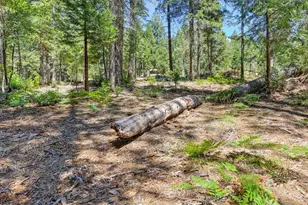 6960 Blackhawk Ln, Foresthill, CA 95631 - Photo 75