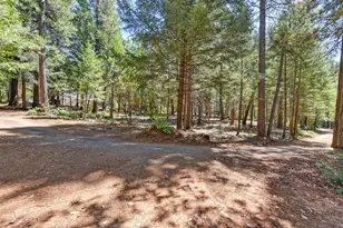 6960 Blackhawk Ln, Foresthill, CA 95631 - Photo 95