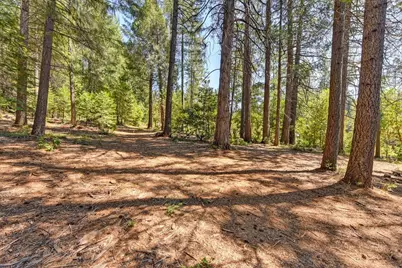 6960 Blackhawk Lane, Foresthill, CA 95631 - Photo 87