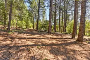 6960 Blackhawk Ln, Foresthill, CA 95631 - Photo 87