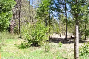 6960 Blackhawk Ln, Foresthill, CA 95631 - Photo 93