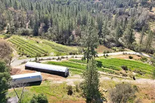 23003 Pleasant Valley Rd, North San Juan, CA 95960 - Photo 37