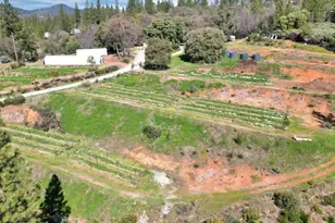 23003 Pleasant Valley Rd, North San Juan, CA 95960 - Photo 31