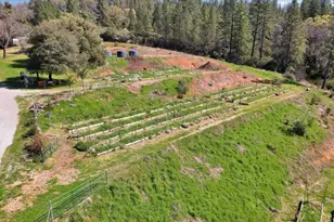 23003 Pleasant Valley Rd, North San Juan, CA 95960 - Photo 27