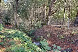 18123 Joy Circle, Challenge, CA 95925 - Photo 9