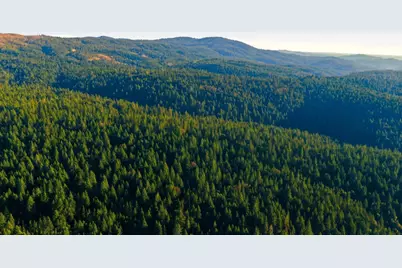 0 Kentucky Flat Road, Georgetown, CA 95634 - Photo 13