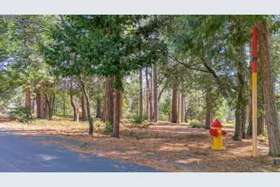 5556 Wylderidge Drive, Murphys, CA 95247 - Photo 9