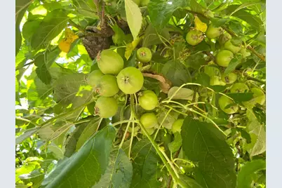 2640 Sky Ranch Lane, Camino, CA 95709 - Photo 15