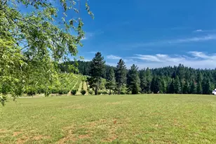 2640 Sky Ranch Ln, Camino, CA 95709 - Photo 43