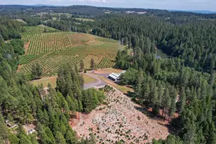 2640 Sky Ranch Ln, Camino, CA 95709 - Photo 53