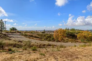 12000 Twin Pines Rd, Sutter Creek, CA 95685 - Photo 31