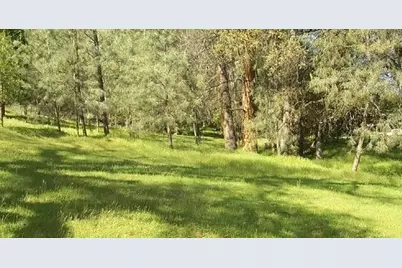 20818 Crescent Way, Groveland, CA 95321 - Photo 1