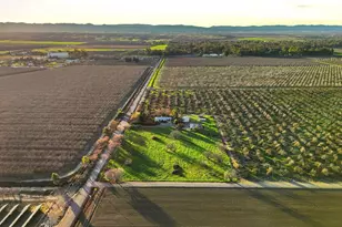 29680 County Road 5, Dunnigan, CA 95937 - Photo 47