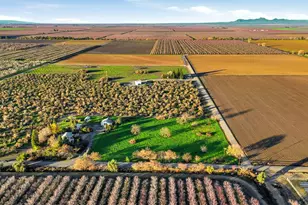 29680 County Road 5, Dunnigan, CA 95937 - Photo 49