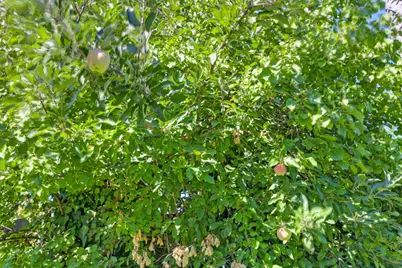 6820 Brooknoll Court, Citrus Heights, CA 95621 - Photo 37