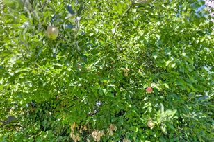 6820 Brooknoll Ct, Citrus Heights, CA 95621 - Photo 37