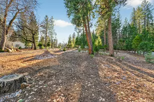 6140 Shad Way, Pollock Pines, CA 95726 - Photo 45