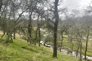 21271 Latrobe Rd, Plymouth, CA 95669 - Photo 47