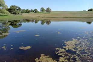 21271 Latrobe Rd, Plymouth, CA 95669 - Photo 43