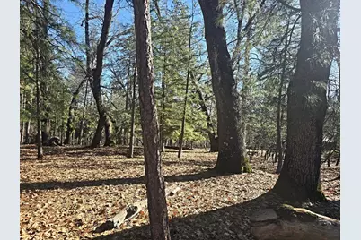 16367 Buckhorn Way, Meadow Vista, CA 95722 - Photo 65