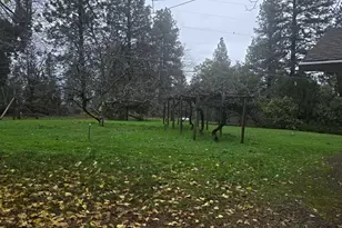 16367 Buckhorn Way, Meadow Vista, CA 95722 - Photo 11