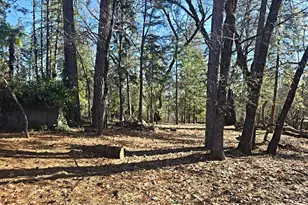 16367 Buckhorn Way, Meadow Vista, CA 95722 - Photo 67