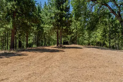 7401 Schaad Road, Wilseyville, CA 95257 - Photo 59