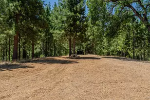 7401 Schaad Rd, Wilseyville, CA 95257 - Photo 59