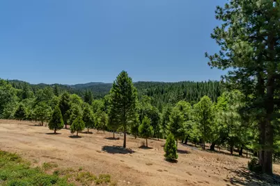 7401 Schaad Road, Wilseyville, CA 95257 - Photo 47
