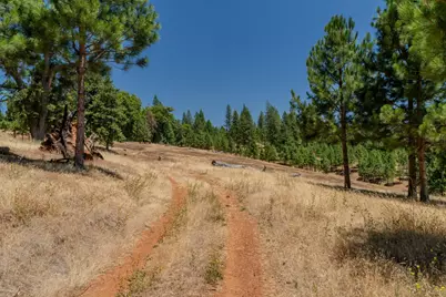 7401 Schaad Road, Wilseyville, CA 95257 - Photo 75