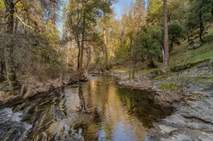 7401 Schaad Rd, Wilseyville, CA 95257 - Photo 7