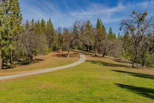 7401 Schaad Rd, Wilseyville, CA 95257 - Photo 5