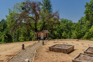 7401 Schaad Rd, Wilseyville, CA 95257 - Photo 57