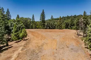 7401 Schaad Rd, Wilseyville, CA 95257 - Photo 63