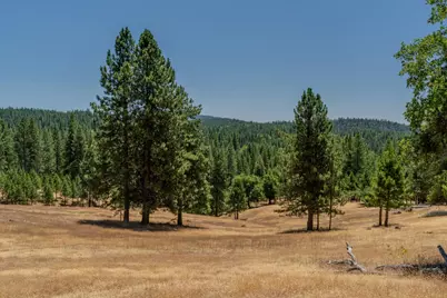 7401 Schaad Road, Wilseyville, CA 95257 - Photo 73