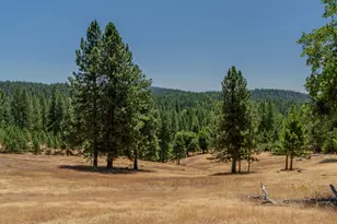 7401 Schaad Rd, Wilseyville, CA 95257 - Photo 73