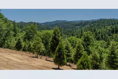 7401 Schaad Road, Wilseyville, CA 95257 - Photo 49