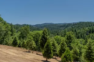 7401 Schaad Rd, Wilseyville, CA 95257 - Photo 49